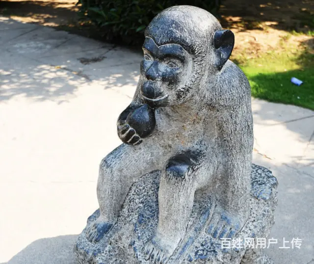 动物生肖猴雕塑#石雕猴子 - 图片 1