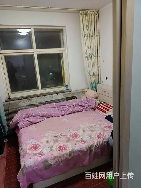 碧海小区6层不是顶楼 普通住宅 简单装修 - 图片 2