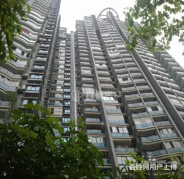 禾祥西路南49平精装修好房急租 - 图片 10
