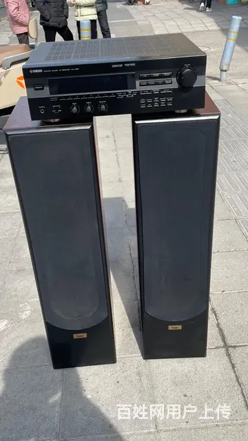 丹麦原装进口至尊发烧音箱，双6.5寸低音音质非常好 - 图片 4