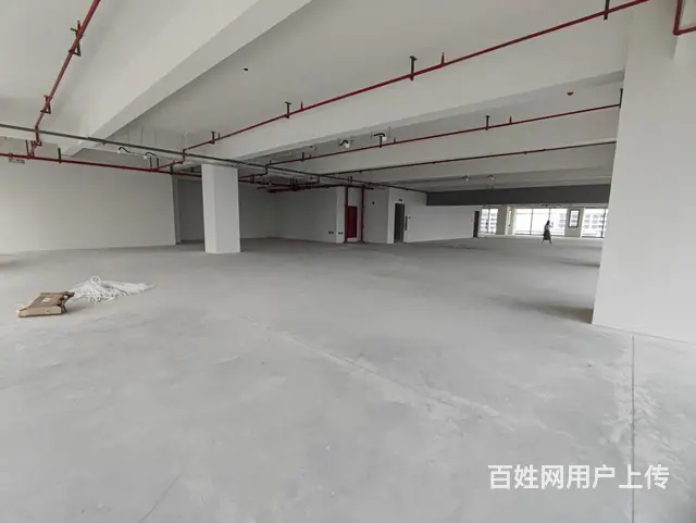 好运街4号线甲级写字楼2040方精装开发商直售抄底价1万左右 - 图片 12