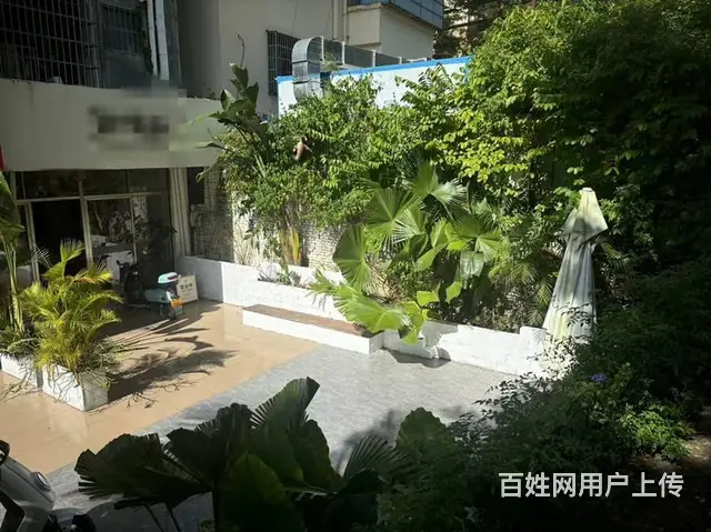 （51旺铺推荐）阳区海螺40平花艺店转让 - 图片 5