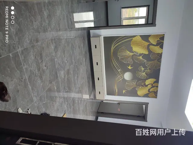 精装房出租出卖 - 图片 5