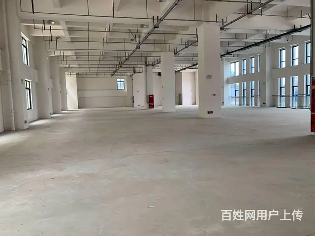 龙泉经开区南4路800平起租框架厂房 - 图片 4