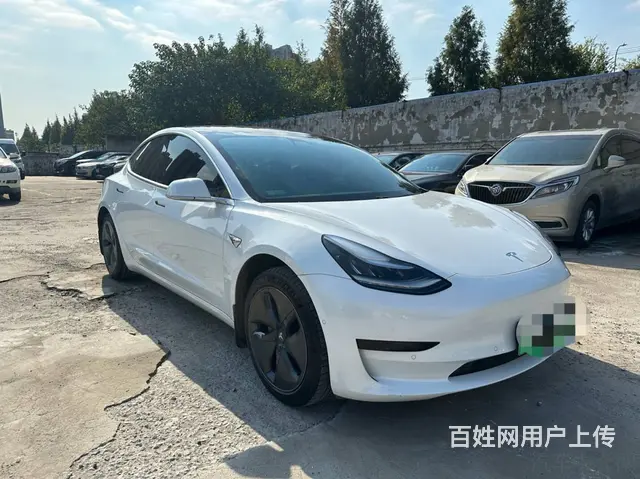 特斯拉Model 3 2019款 标准续航后驱升级版 - 图片 2