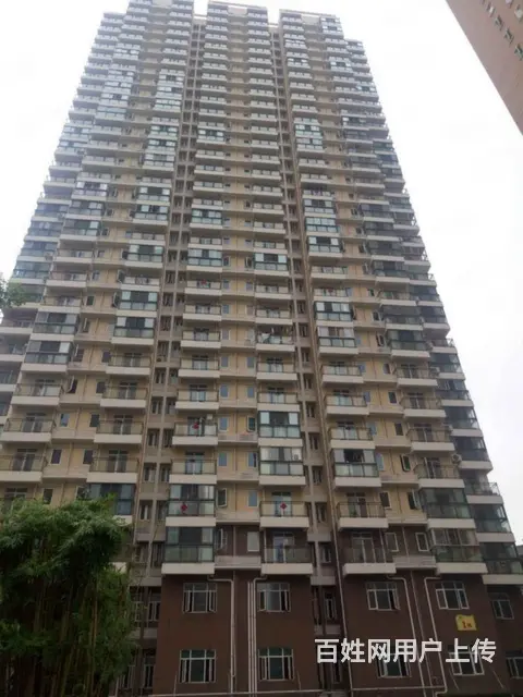 4号线 直达楚河汉街青鱼嘴 东亭 德成中心 中南医 - 图片 12