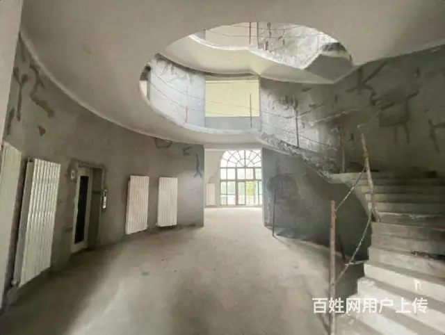 汇锦独栋庄园 2000米别墅 花园600米 私家泳池 车库 - 图片 1