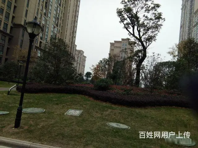 滁州城南实验二小旁 紫金广场商铺出售 繁华闹市中的 - 图片 10