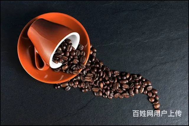 苏州翻译公司-体系ISO翻译 - 图片