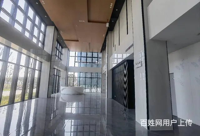 鲸丰全新写字楼出租 45平到2000平都有 纯办公 环境好 - 图片 9
