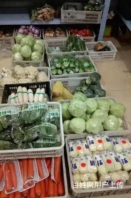 厦门蔬菜配送,厦门生鲜配送 - 图片 6