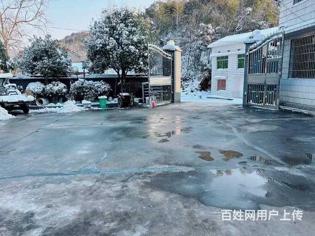 （老板本人）岳麓区岳宁大道旁独门独院房屋厂房仓库出租5915 - 图片 11