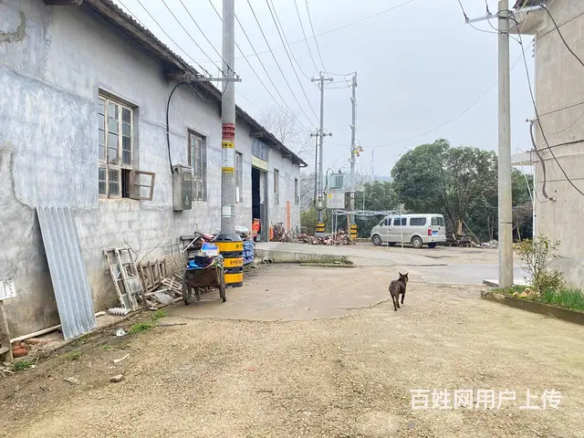 （房东直租）开福区白霞村中岭，星沙联络线中青路400平厂房 - 图片 7