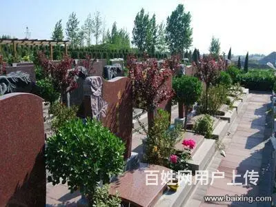 省批合法陵园 玉皇陵 免费派车上门接送 - 图片