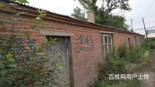 呼兰长岭村厂房出租 - 图片 3