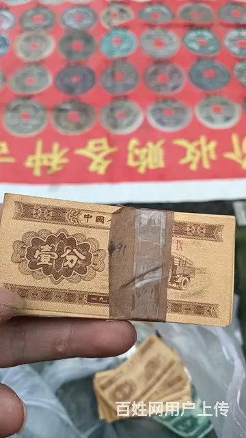 硬币 - 图片 2