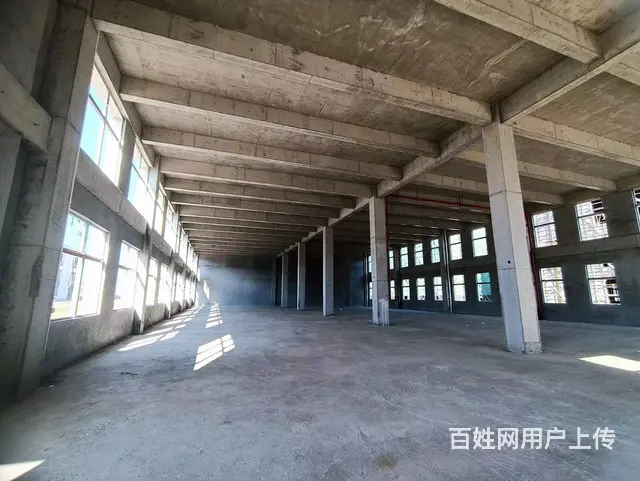 企业选址 独栋产品 一栋一企业 按揭3成起  50年产权 - 图片 7