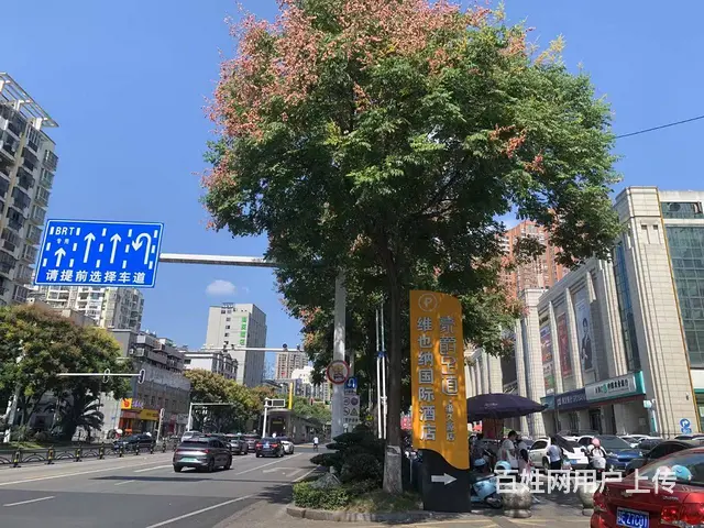 五一广场桔城路78平双门头店铺出租 - 图片 6