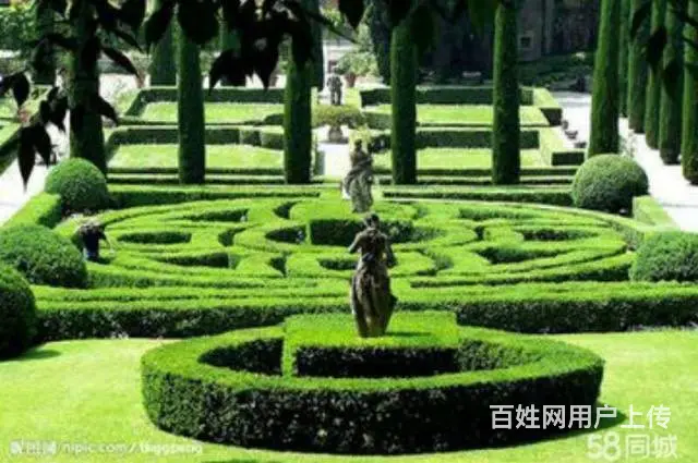 江城文苑 大H户型 经典三室,低首付 - 图片 10