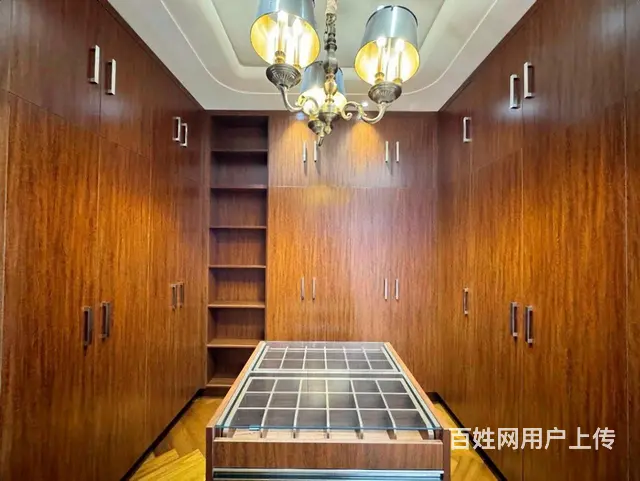 捡漏超底汇锦庄园别墅900米双拼 300米花园 双台车库 - 图片 8