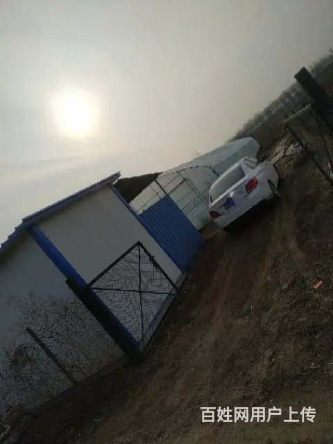想种花大棚，种菜大棚看过来 - 图片 5