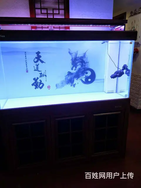 {苏州鱼乐天地水族}专业鱼缸清洗鱼缸养护，上门服务 - 图片 3