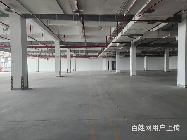 苏虹东路精装厂房招租 4T货梯 丙类消防 带喷淋 交通便利！ - 图片 3