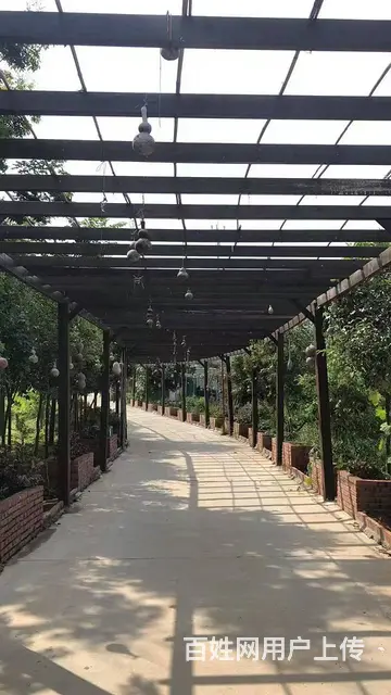 （徐州找店网）贾汪大洞山风景区农家乐生态园出租 - 图片 2