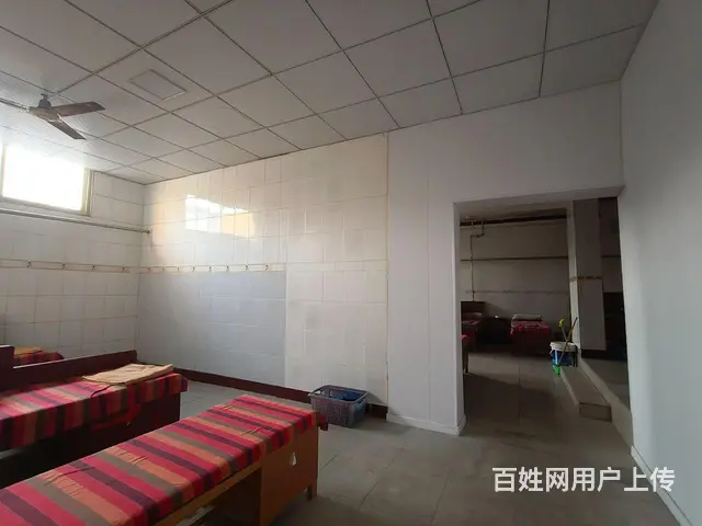 焦东路小学北校区十七中 北环路岗庄独院 - 图片 7