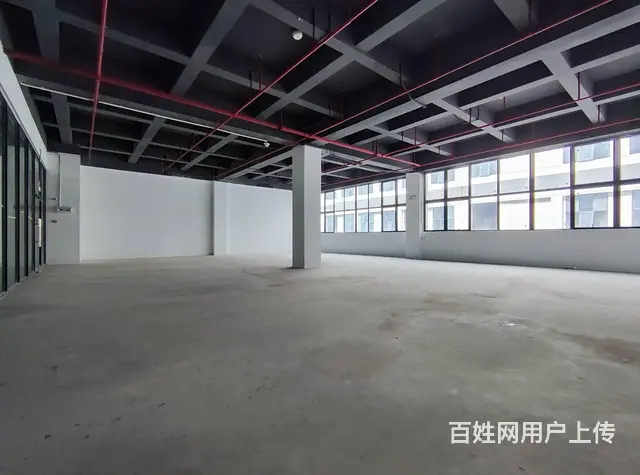 免中介 蓝海金融旁 100-1000㎡写字楼 租金50起 - 图片 1