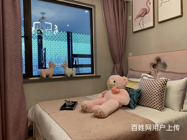 临港品质大盘 天亿城 荣建开发城建 保利物业 实验 - 图片 8