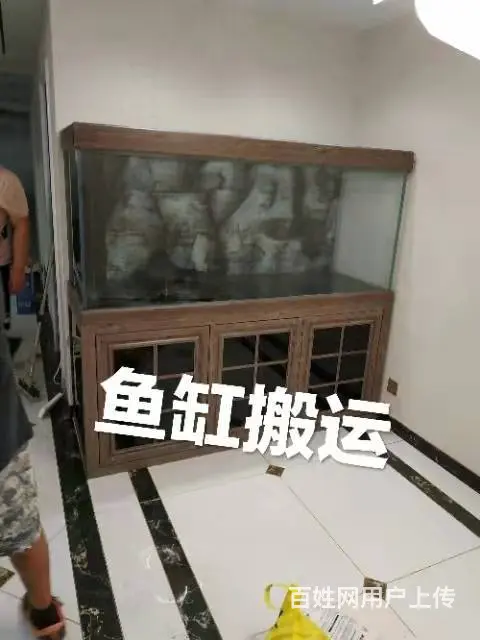 邢台鼎力搬家服务有限公司 - 图片 1