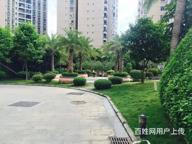 （51旺铺推荐）荔枝沟南新悦城104平三室出租 - 图片 2