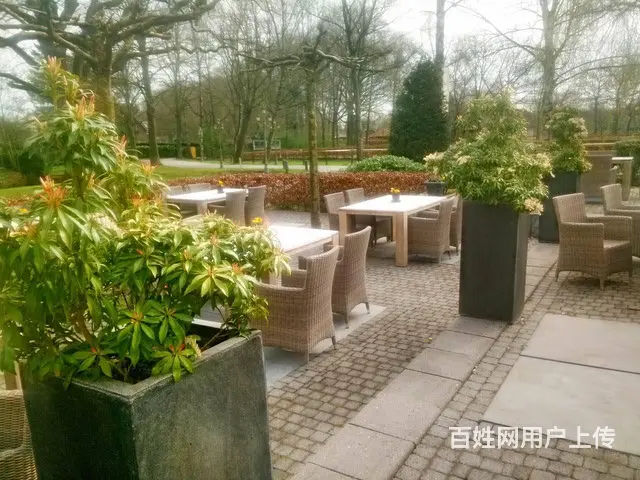 年薪40万+  雇主担保 办理周期快 - 图片 4