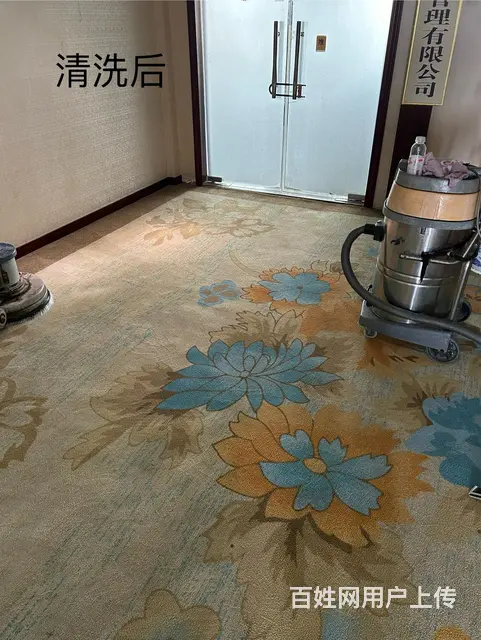 专业永州道县宁远江华江永地毯清洁地板清洗服务 - 图片 2