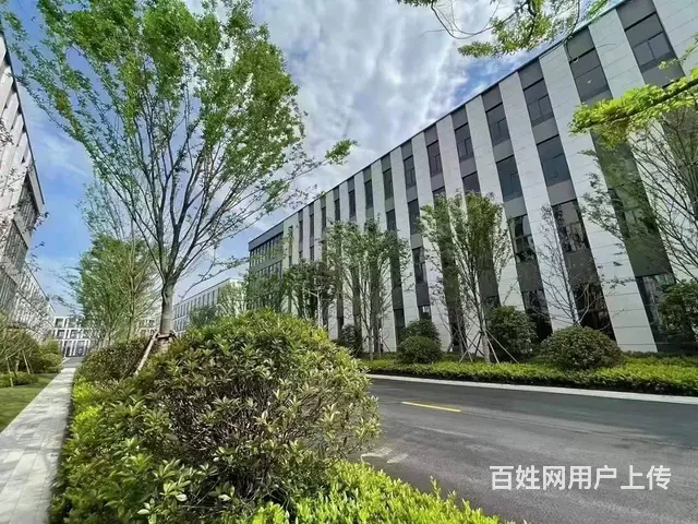 双流国企园区，50年产权可分割 首付3成 靠近地铁 赠送花园 - 图片 7