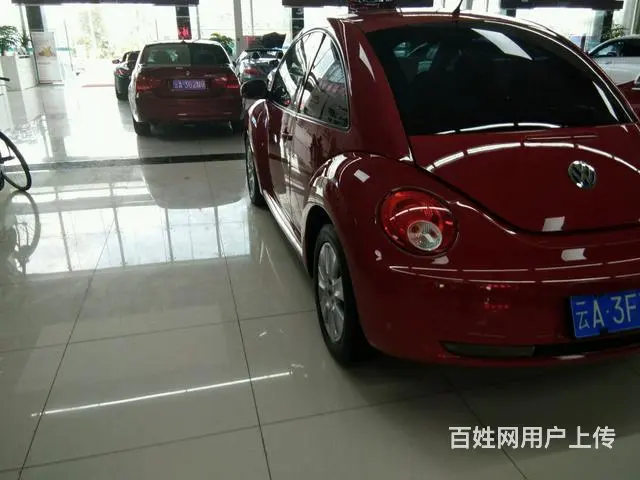 大众甲壳虫掀背 [进口] 2010款 2.0L 自 - 图片 12