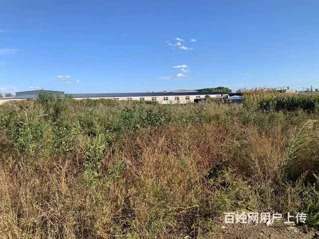 急卖60亩建设用地 - 图片 2