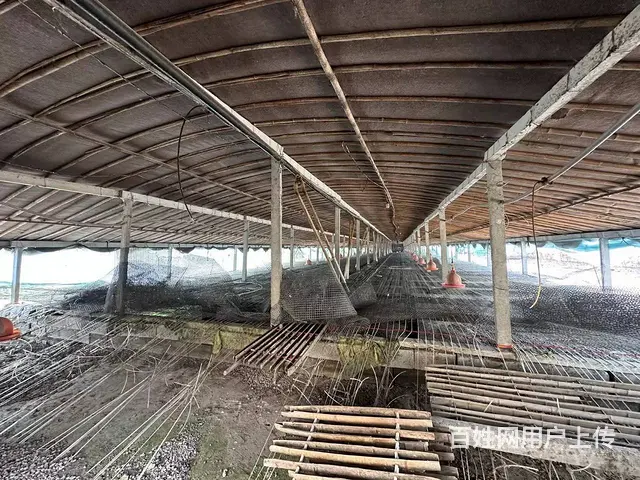 （弘扬快讯）铜山区三堡胜阳养殖场出租 - 图片 8