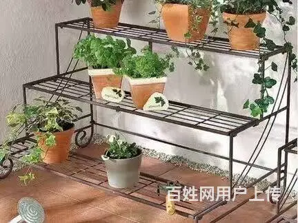 现场设计，各种立式多层，以及上墙花架，给你一个春意 - 图片 5
