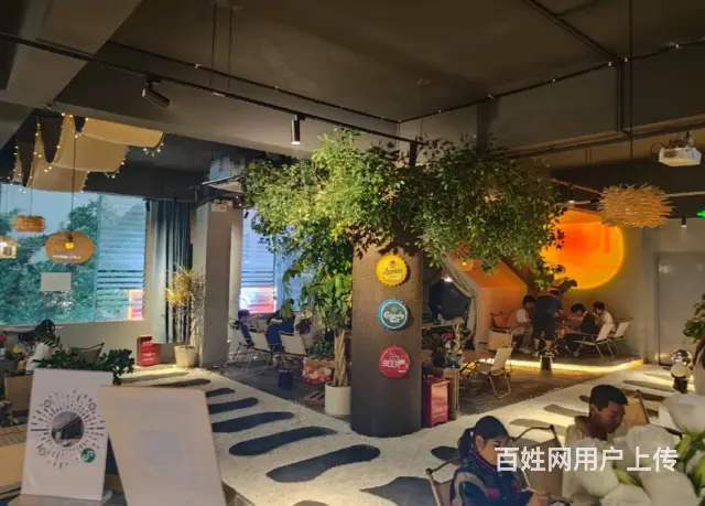 15721（商客网）商院路经管校酒吧低价转让 - 图片 12