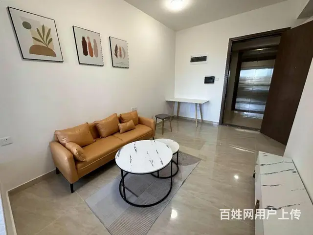 南湾区 中信红树湾旁 绿景玺悦湾，一房一厅，新装新家电 - 图片 1