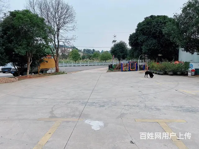 （老板本人）雨花区跳马镇独栋房屋仓储/农家乐会所出租5743 - 图片 7