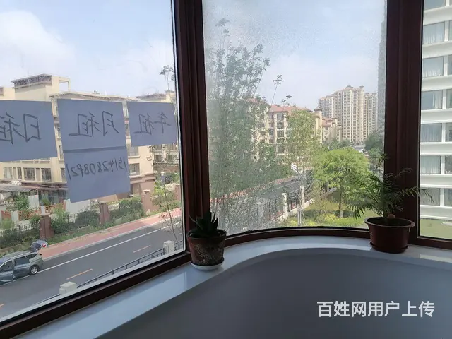 红海湾 - 图片 7