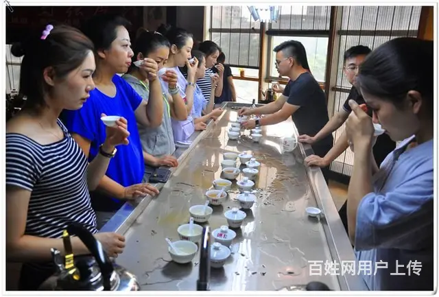 茶艺培训招生简章2024 新 - 图片 10