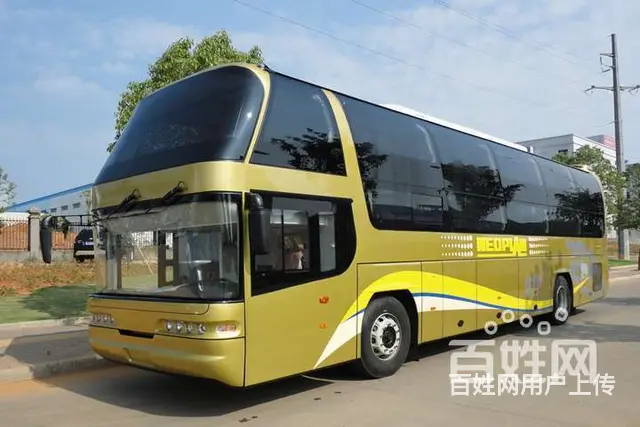 常州宠物托运怎么收费/宠物专车上门接送 - 图片 4