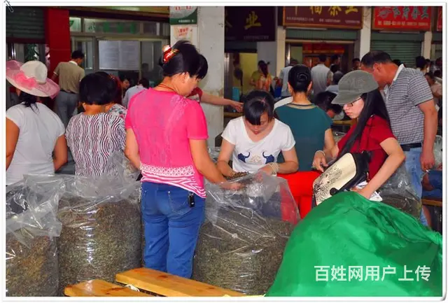 天晟茶艺培训学校招生简章 - 图片 8