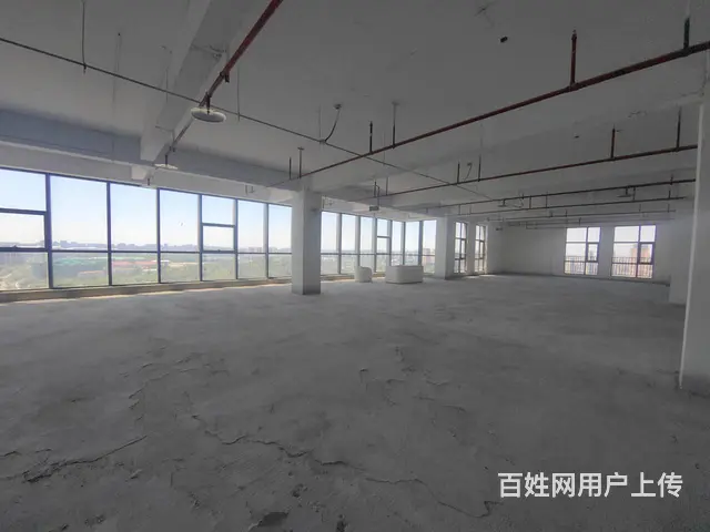 金龙湖地铁口1000平明阳广场一手纯办公现房 - 图片 8