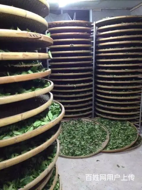 铁观音茶叶浓香型清香型礼盒装高山特级兰花香特级 - 图片 4