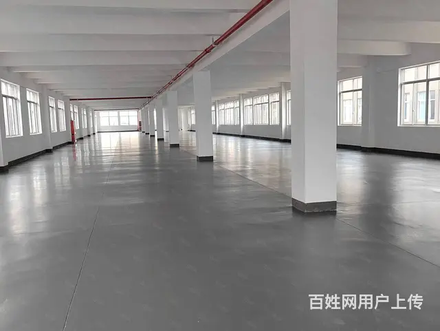 两层起售，国土，省级高新区，2400-4800平出售 - 图片 4